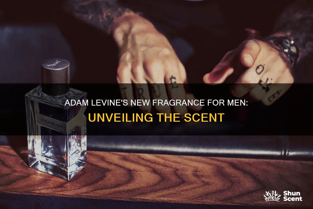 what is adam levine