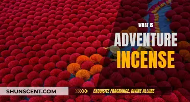 Adventure Incense: The Ultimate Aromatic Adventure