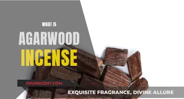 Agarwood Incense: The Mystical Scent