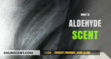 Unveiling the Mystery: What Is Aldehyde Scent?
