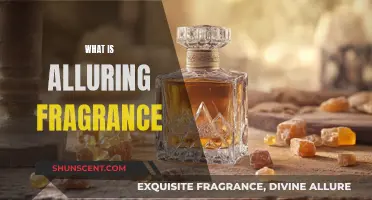 Unveiling the Allure: Exploring the Art of Fragrance