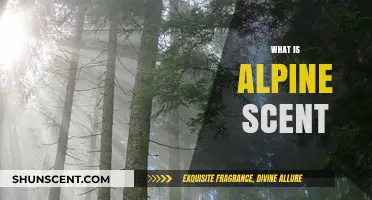 Unveiling the Crisp and Refreshing Essence of Alpine Scents