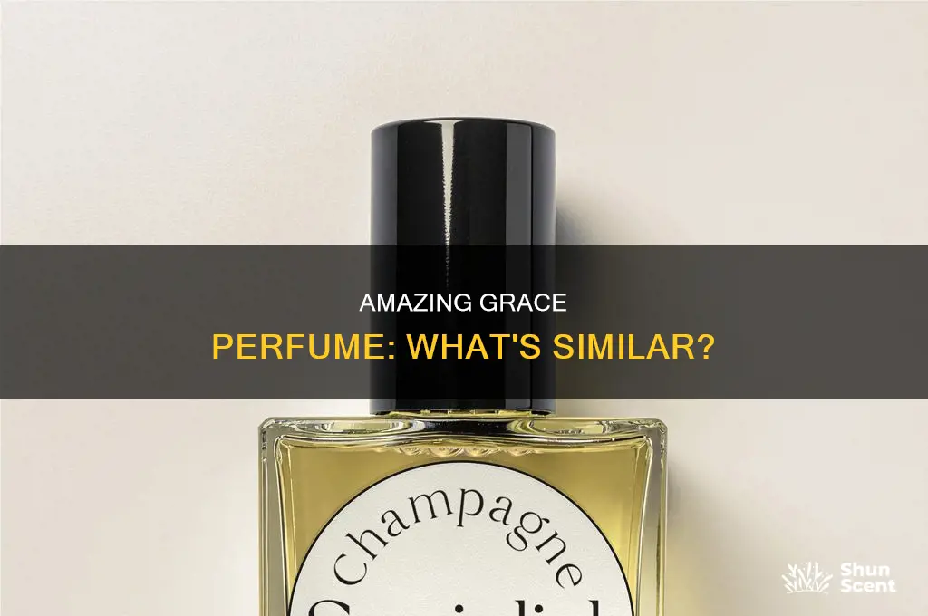 what is amazing grace perfume similar to