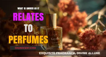 The Warmth of Amber: A Perfume Ingredient Explored