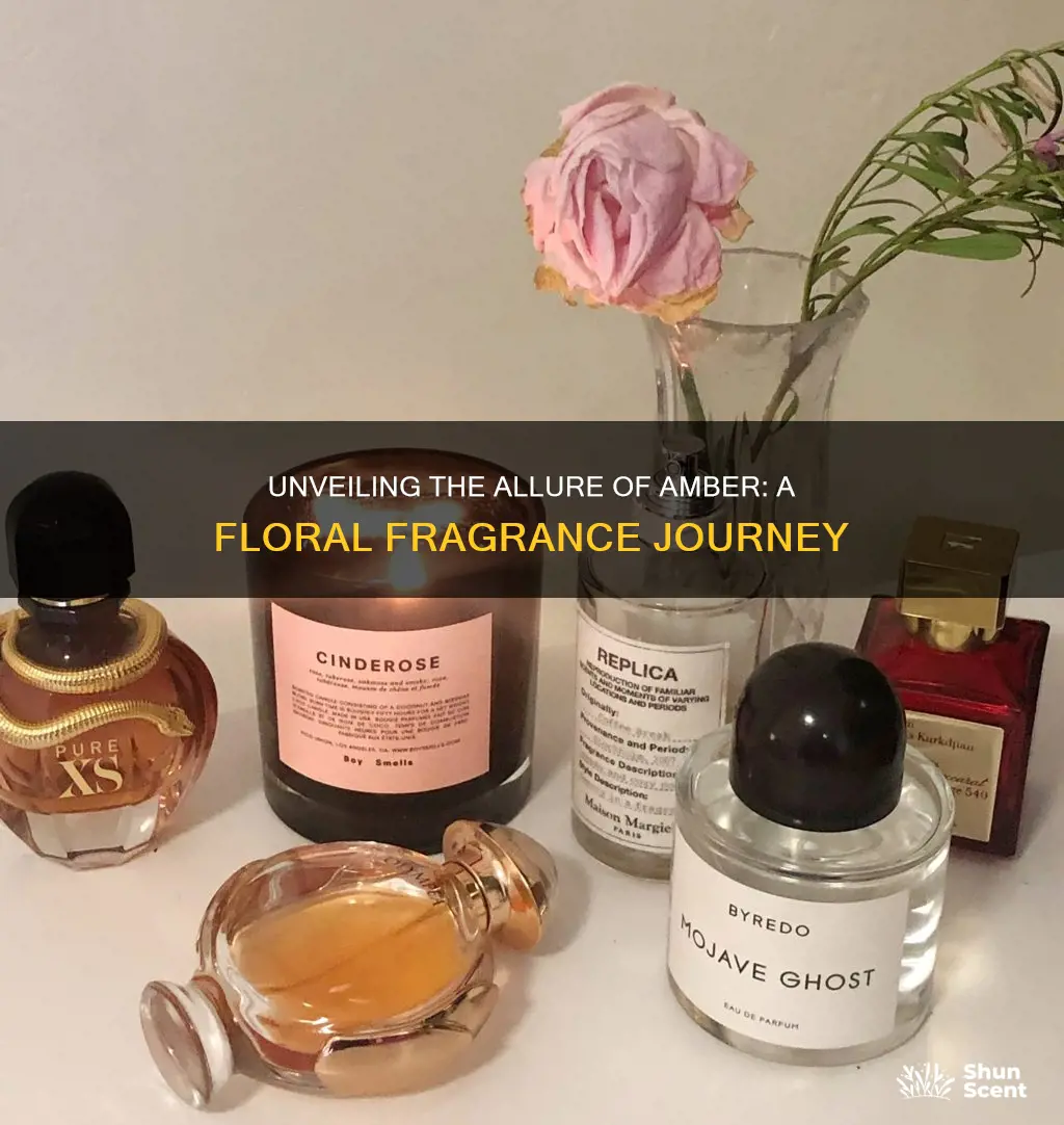 what is amber floral fragrance