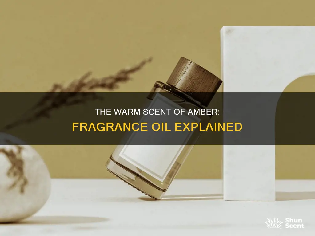 what is amber fragrance oil