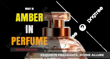 The Warmth of Amber: A Perfume Essential