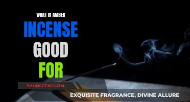 Amber Incense: Benefits and Uses for Wellbeing