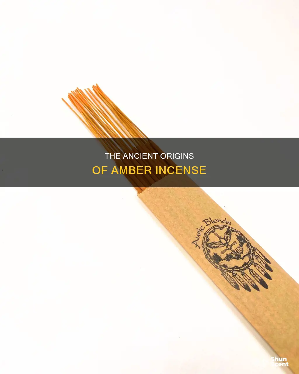 what is amber incense made from