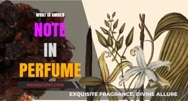 The Warmth of Amber Notes in Perfumes