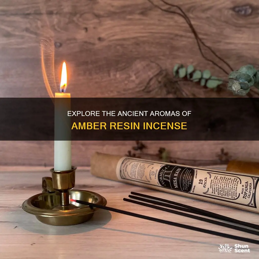 what is amber resin incense
