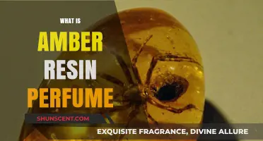 Explore the Ancient Amber Resin Perfume Mystery