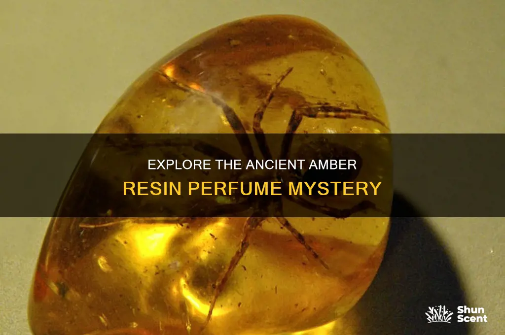 what is amber resin perfume