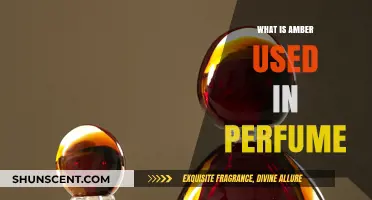 The Warmth of Amber in Perfumes