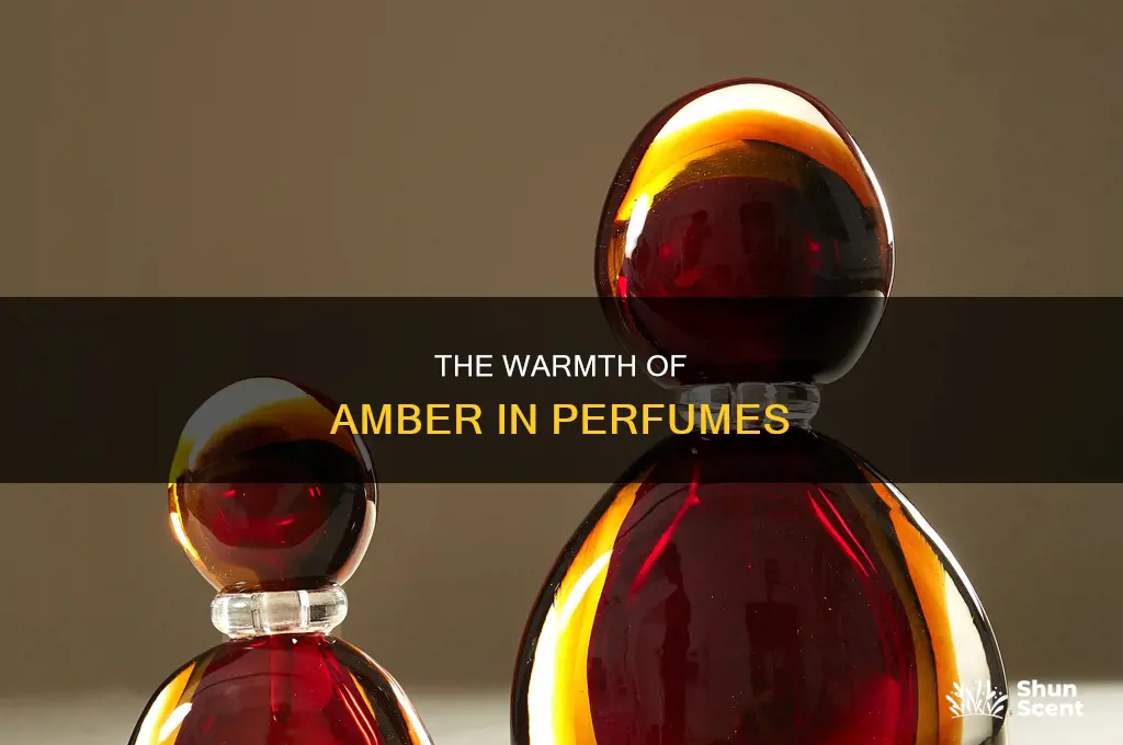 what is amber used in perfume