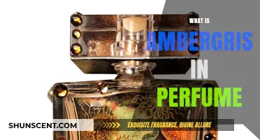 The Magic of Ambergris in Perfumes
