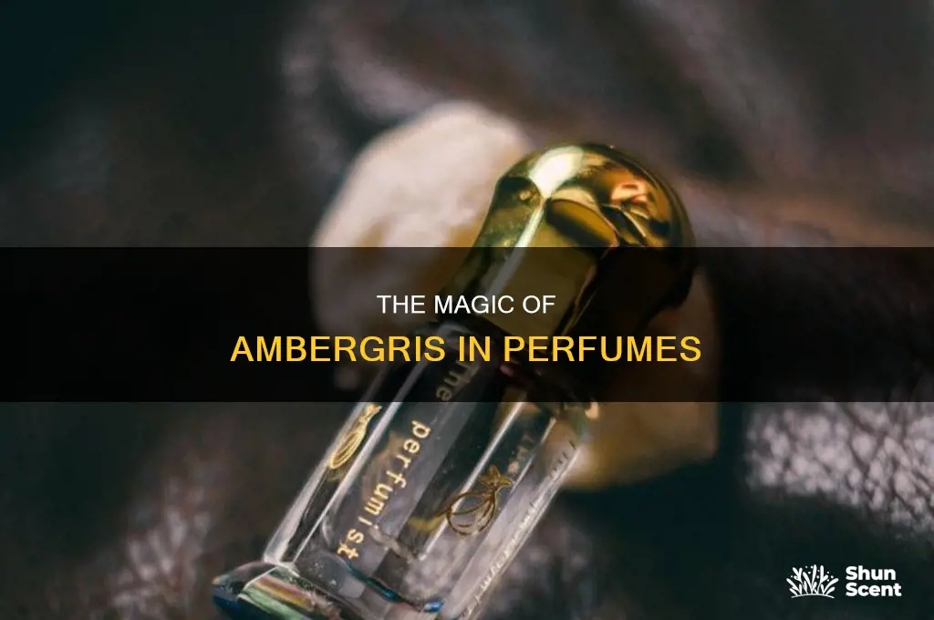 what is ambergris in perfume