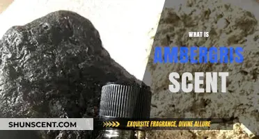 Unveiling the Mystique: What Makes Ambergris Scent So Unique?