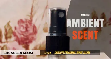 Unveiling the Power of Ambient Scent: A Sensory Journey