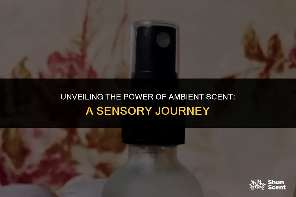 what is ambient scent