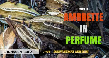 The Magic of Ambrette in Perfumes