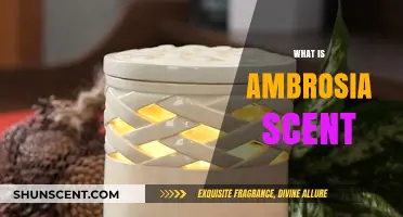 Unveiling the Mystique of Ambrosia: A Fragrant Journey