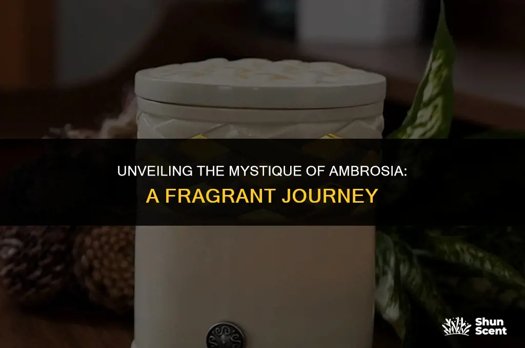 what is ambrosia scent