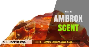 Unveiling the Alluring Mystery of Ambrox Scent