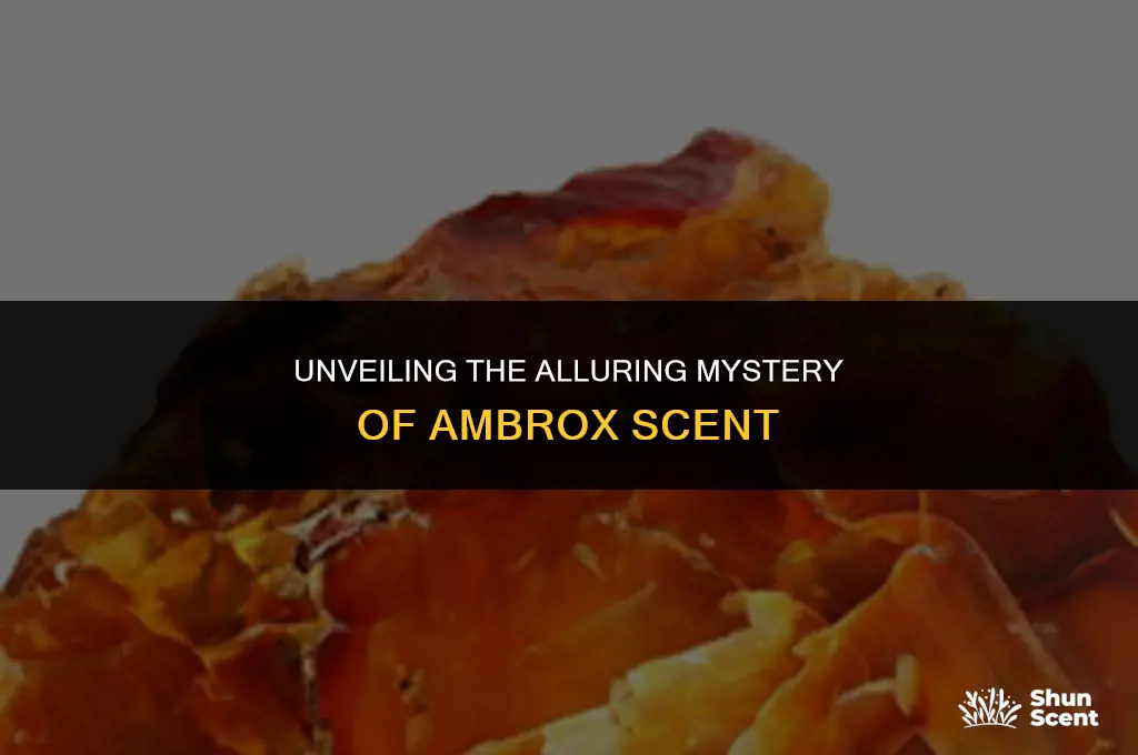 what is ambrox scent