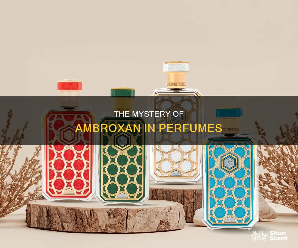 what is ambroxan in perfume