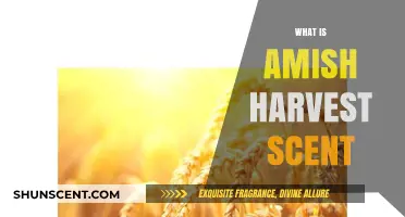 Unveiling the Essence of Amish Harvest: A Fragrant Journey