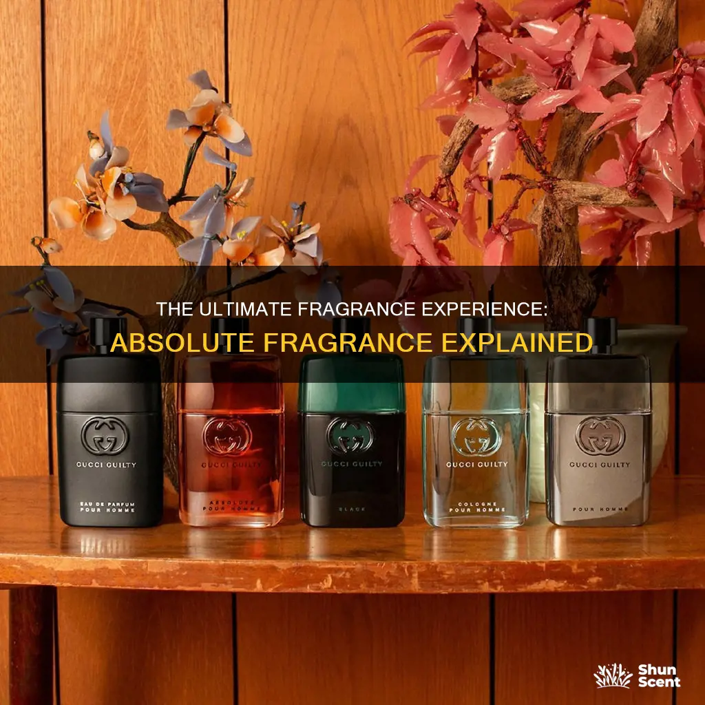 what is an absolute fragrance