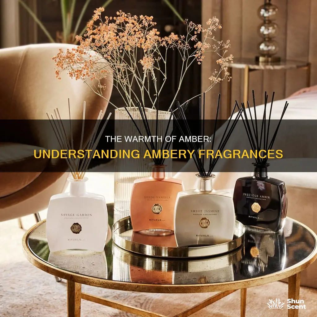 what is an ambery fragrance