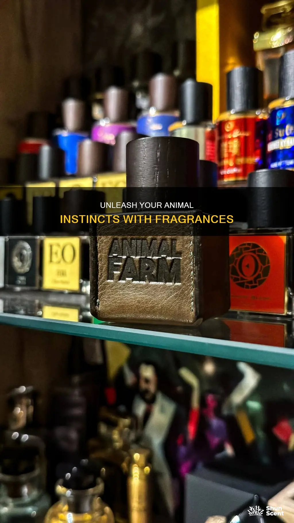 what is an animalic fragrance