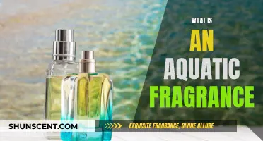 Dive into the World of Aquatic Scents