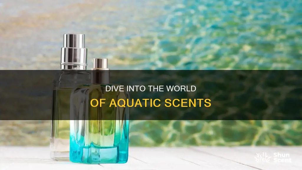 what is an aquatic fragrance