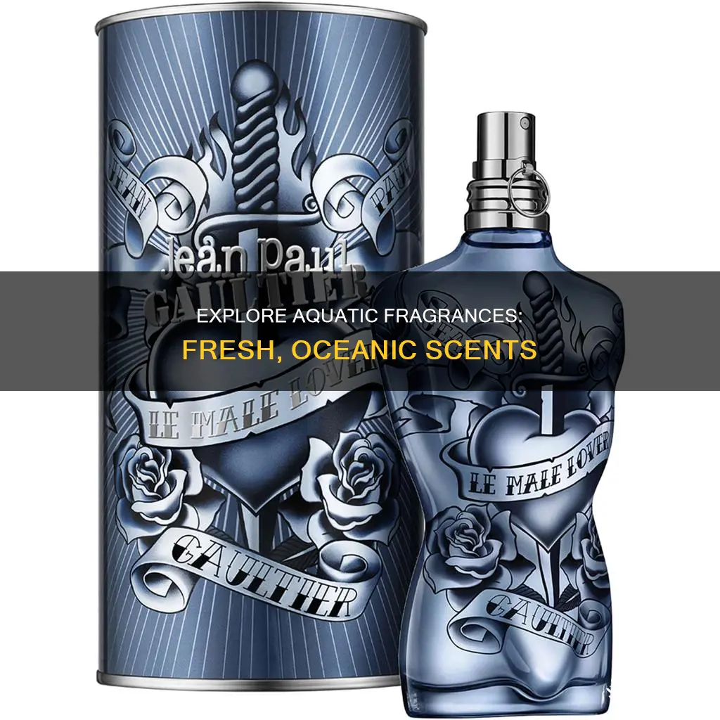 what is an aquatic fragrance