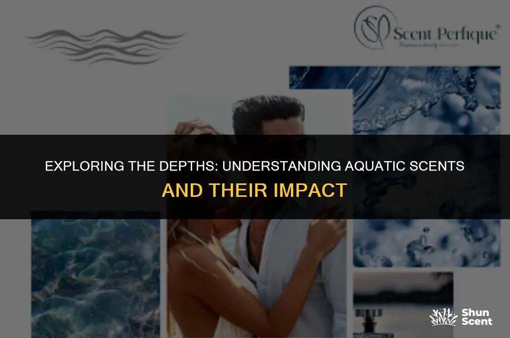 what is an aquatic scent