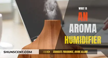 Aroma Humidifier: What It Is and How It Works