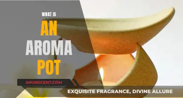 A Guide to Aroma Pots: Enhancing Your Space