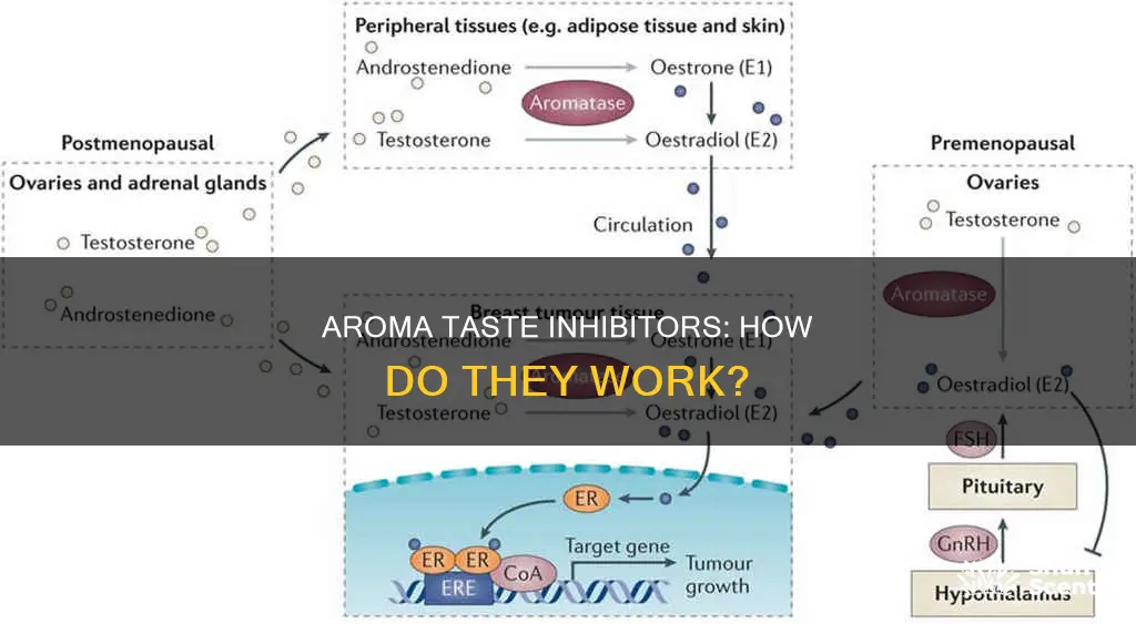 what is an aroma taste inhibitor