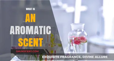 Unveiling the Enchantment: What Makes a Scent Aromatic?