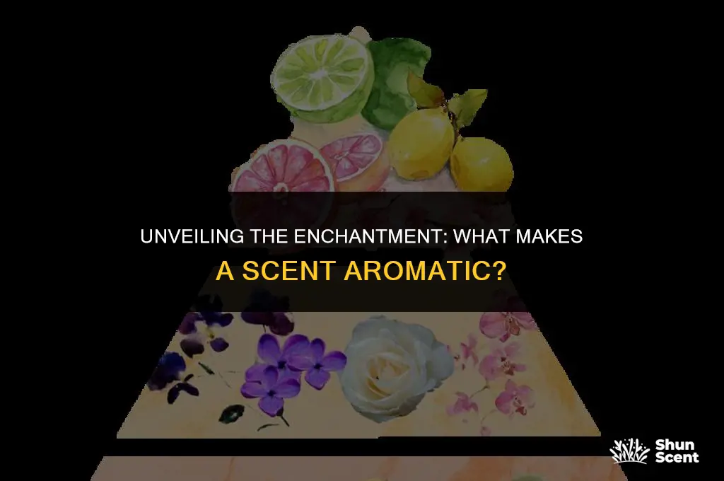 what is an aromatic scent