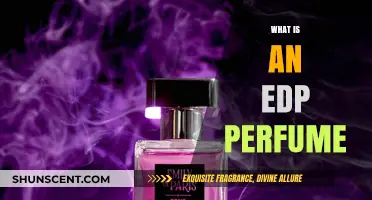 Explore the Fragrance World of EDP Perfumes