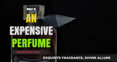 Luxury Scents: Expensive Perfumes Explained