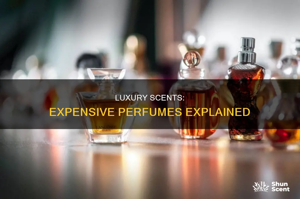 what is an expensive perfume