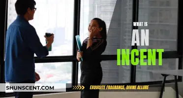 Incentives: Rewards and Their Motivational Power