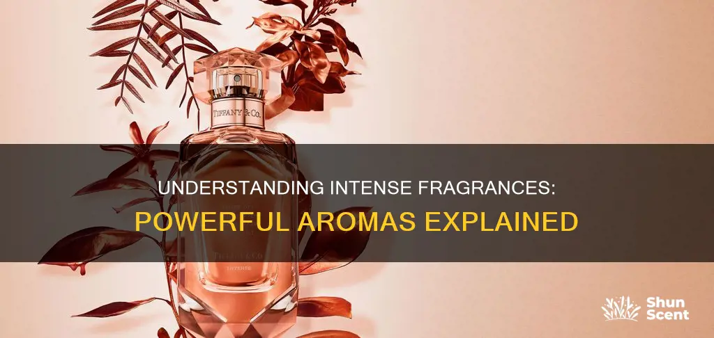 what is an intense fragrance