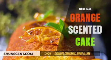 Delightful Orange Zest Cake: A Fragrant and Flavorful Dessert