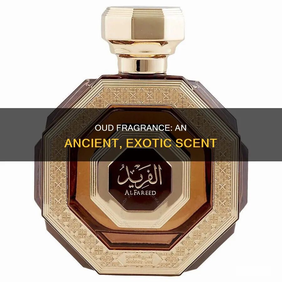 what is an oud fragrance